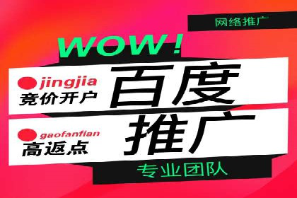 大型SEM服务公司案例分析